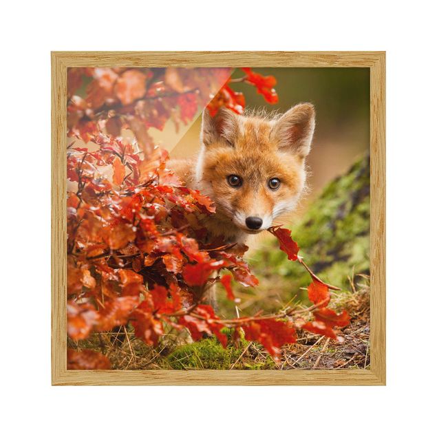 Animal wall art Fox In Autumn