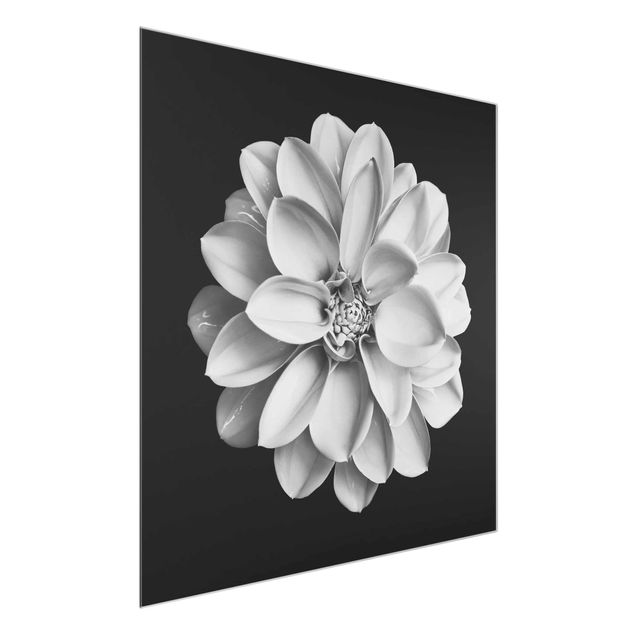 Floral canvas Dahlia Black And White