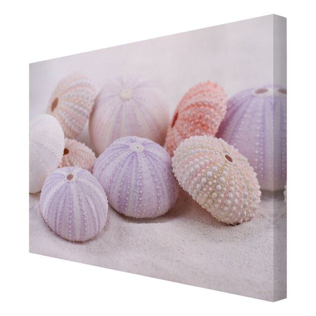 Prints Sea Urchin In Pastel