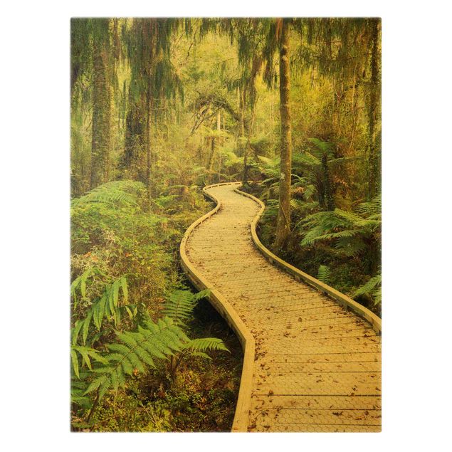 Canvas landscape Path In The Jungle