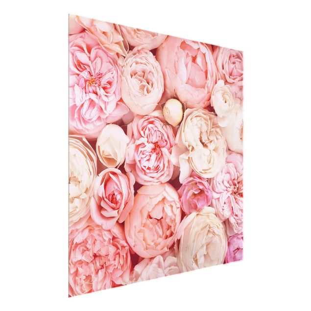 Glass prints flower Roses Rosé Coral Shabby