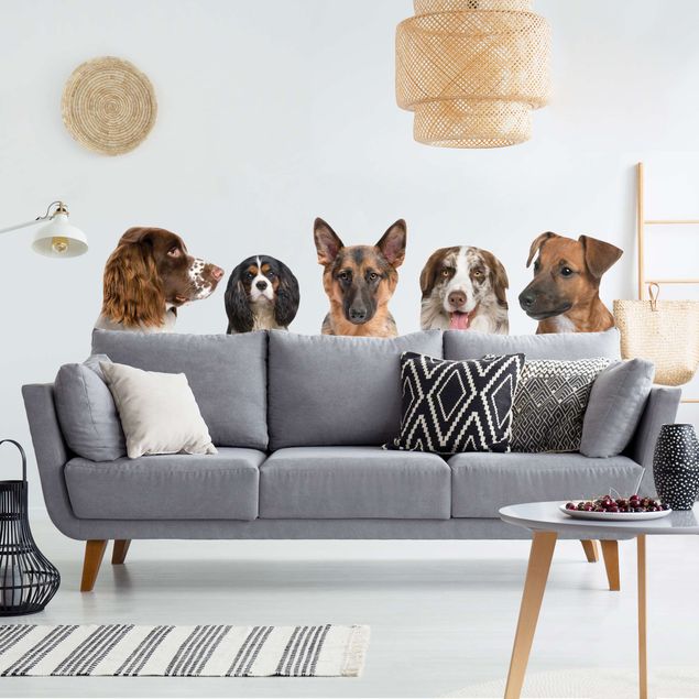 Animal wall decals 5 friends