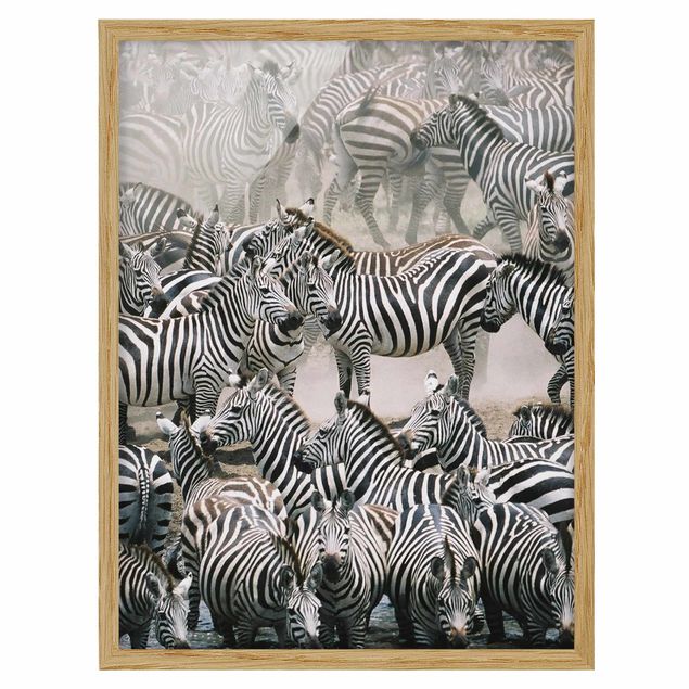 Prints modern Zebra Herd