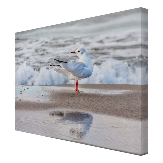 Canvas art Seagull On The Beach In Front Of The Sea