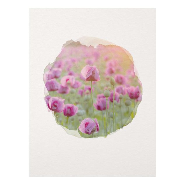 Glass prints flower WaterColours - Violet Poppy Flowers Meadow In Spring