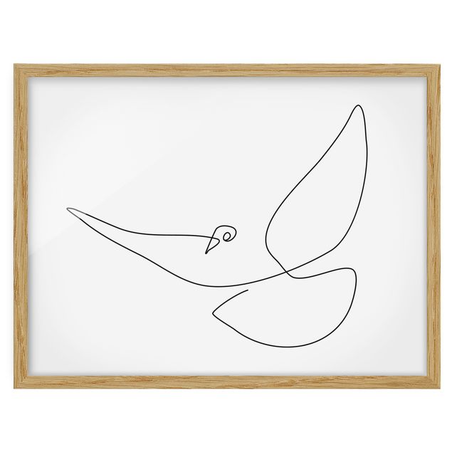 Black and white framed pictures Dove Line Art