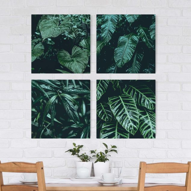 Kitchen Tropical Plants