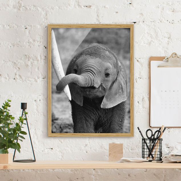 Nursery decoration Baby Elephant