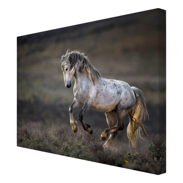 Animal canvas Galloping Through The Heather