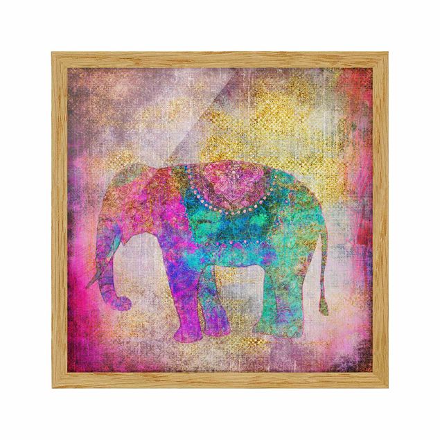 Animal canvas Colourful Collage - Indian Elephant