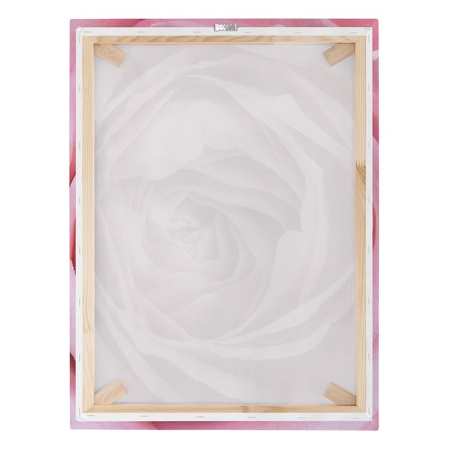 Prints Pink Rose Blossom