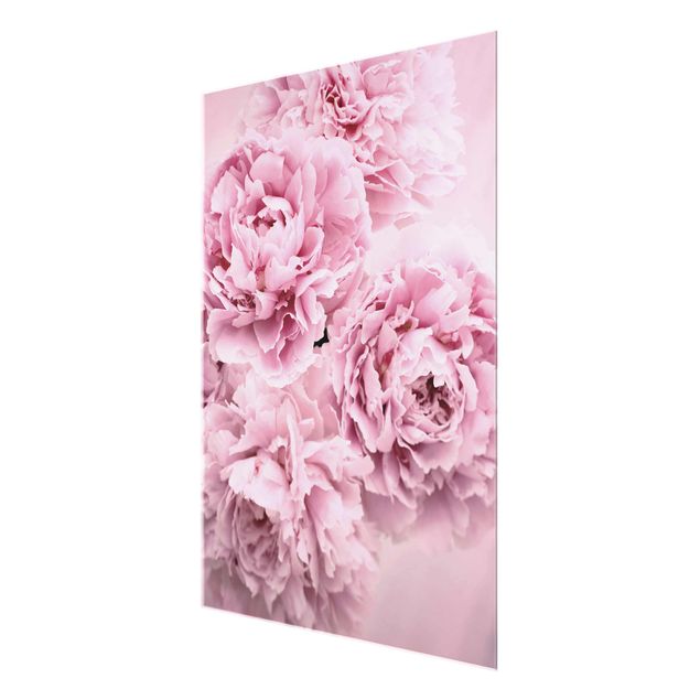 Prints flower Pink Peonies