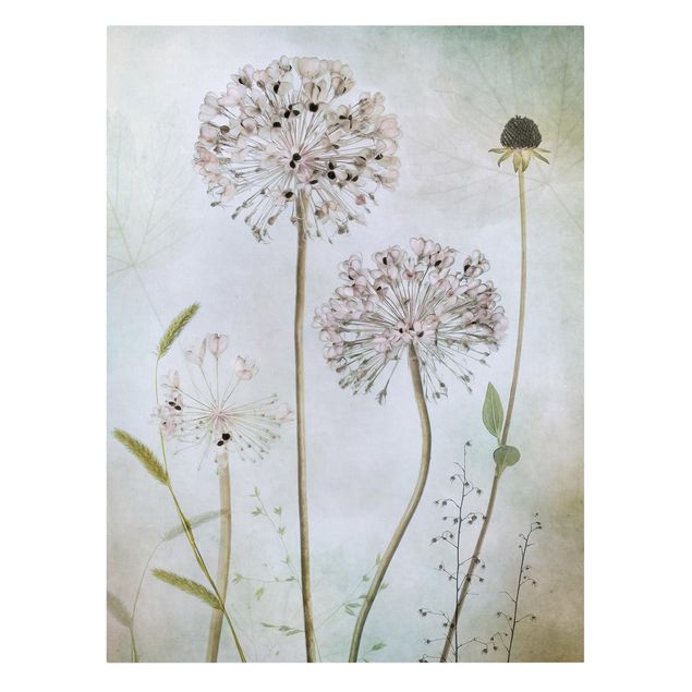 Prints Allium flowers in pastel