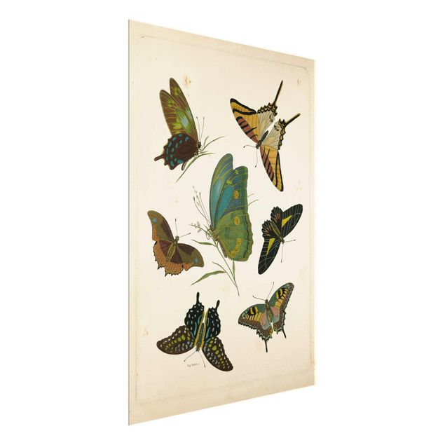 Vintage wall art Vintage Illustration Exotic Butterflies
