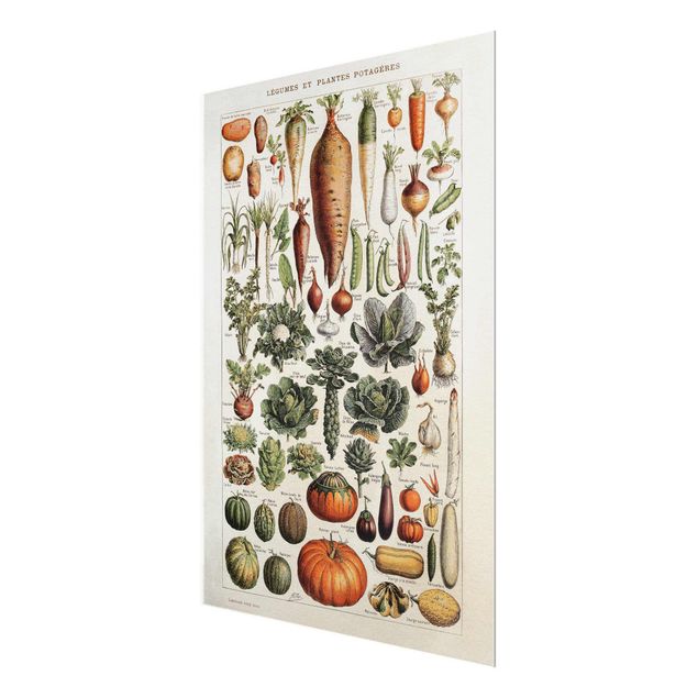 Prints Vintage Board Vegetables