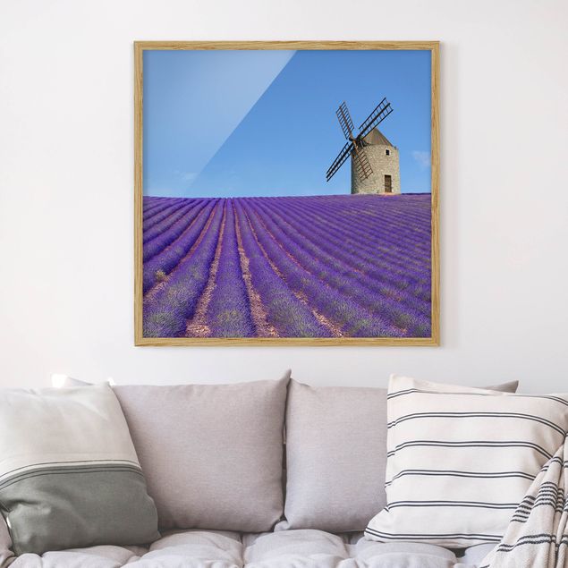 Landscape canvas prints Lavender Scent In The Provence
