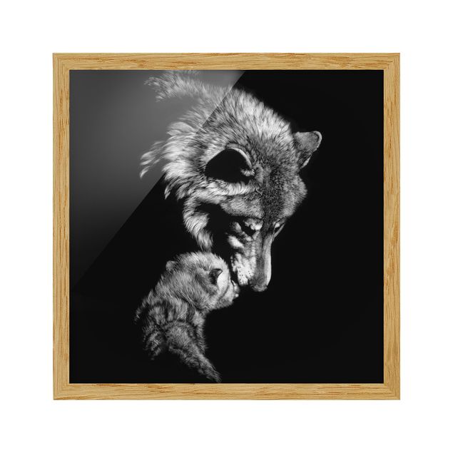 Black and white framed photos Wolf In The Dark