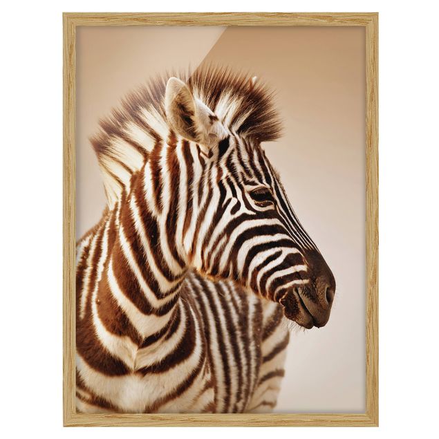 Contemporary art prints Zebra Baby Portrait