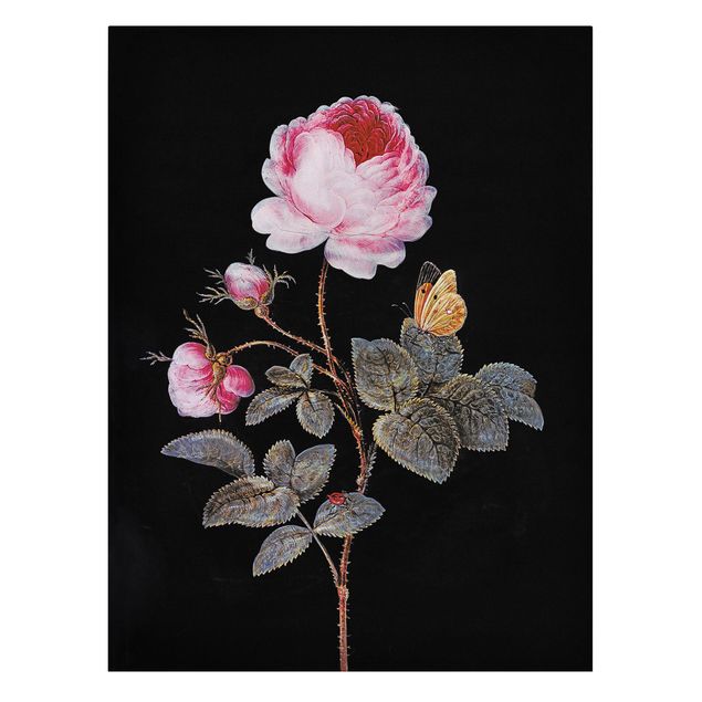 Butterfly canvas Barbara Regina Dietzsch - The Hundred-Petalled Rose