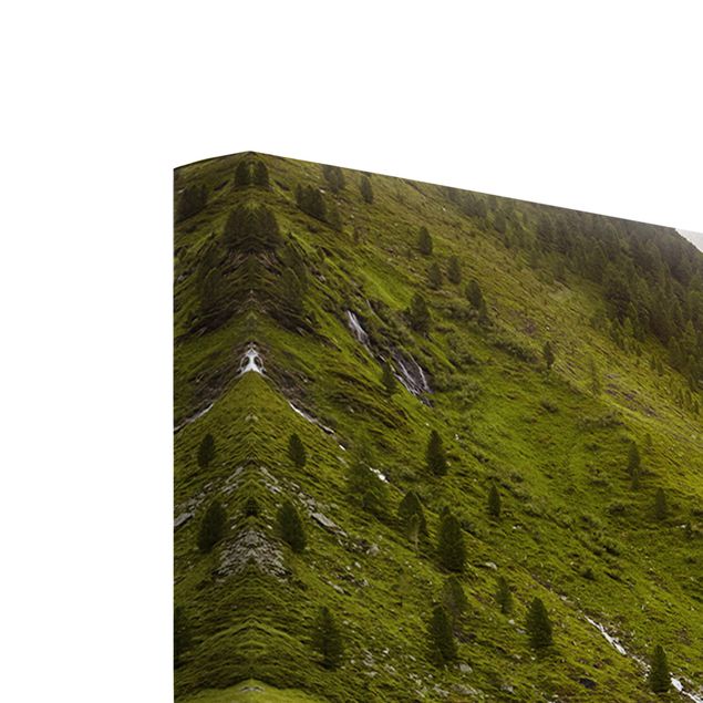Nature wall art Alpine meadow Tirol