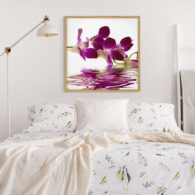 Prints floral Pink Orchid Waters