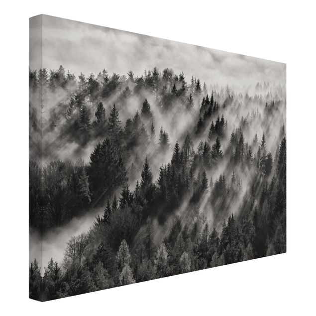 Canvas black and white Light Rays In The Coniferous Forest