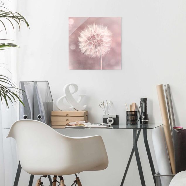 Glass prints flower Dandelion Bokeh Light Pink