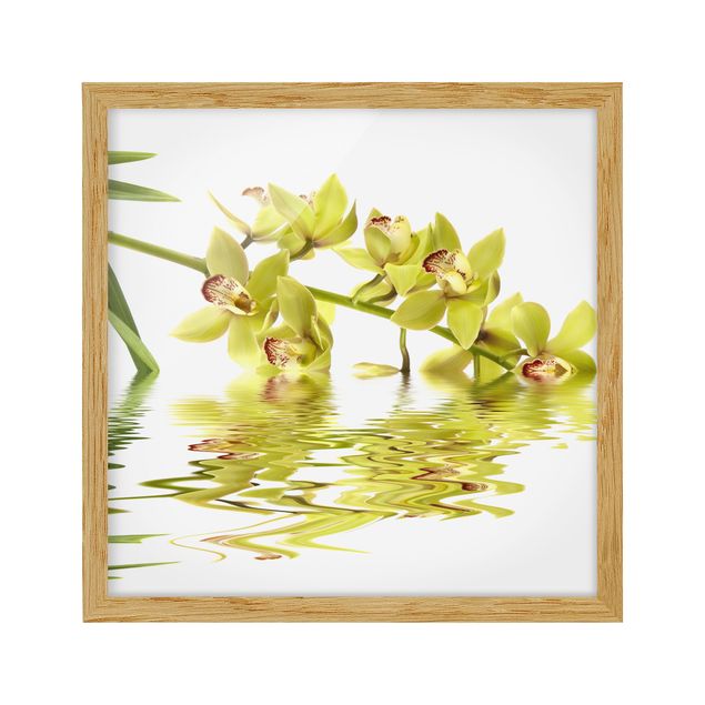 Floral prints Elegant Orchid Waters