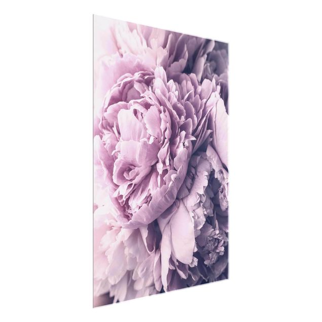 Glass prints flower Purple Peony Blossoms