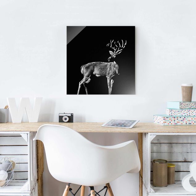 Wall art deer Deer In The Dark