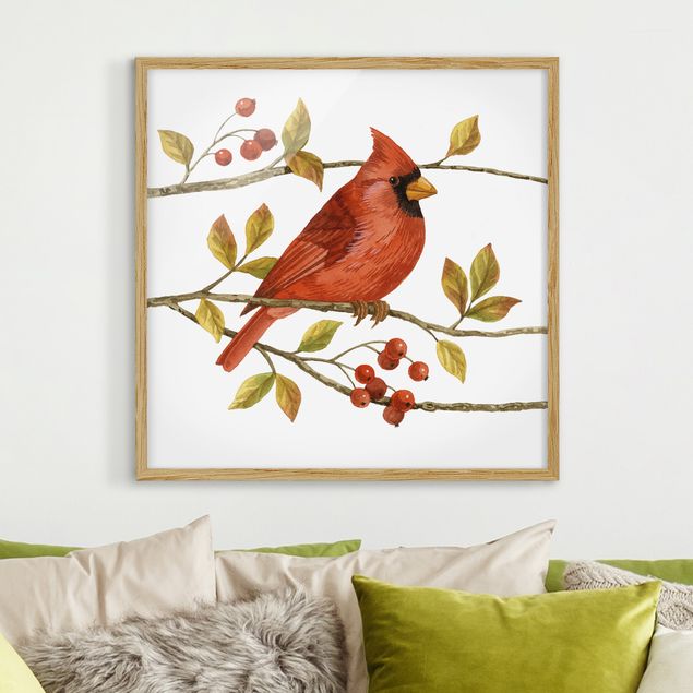 Prints vintage Birds And Berries - Northern Cardinal