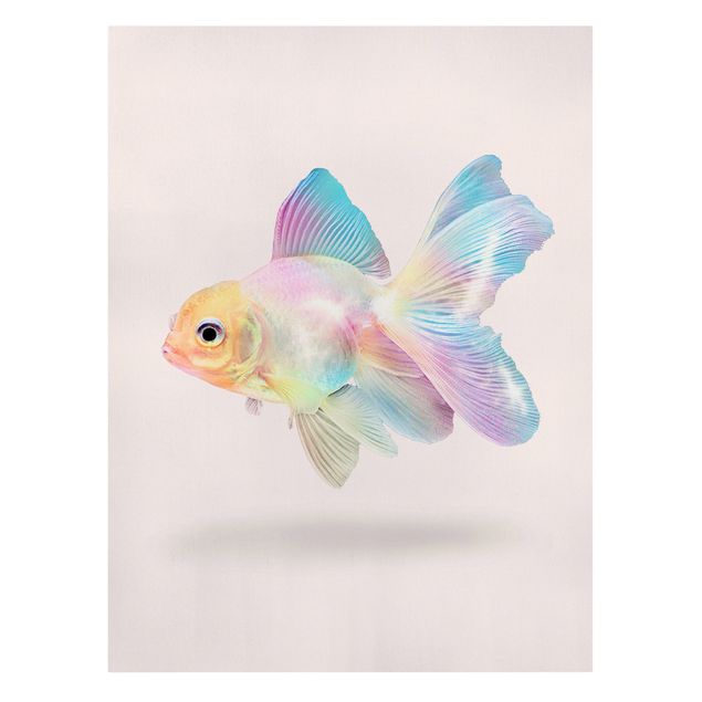Canvas art prints Fish In Pastel