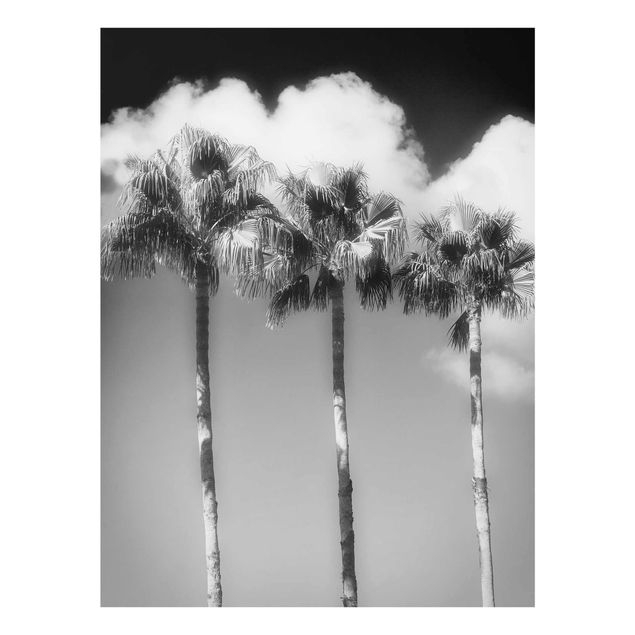 Floral canvas Palm Trees Against The Sky Black And White