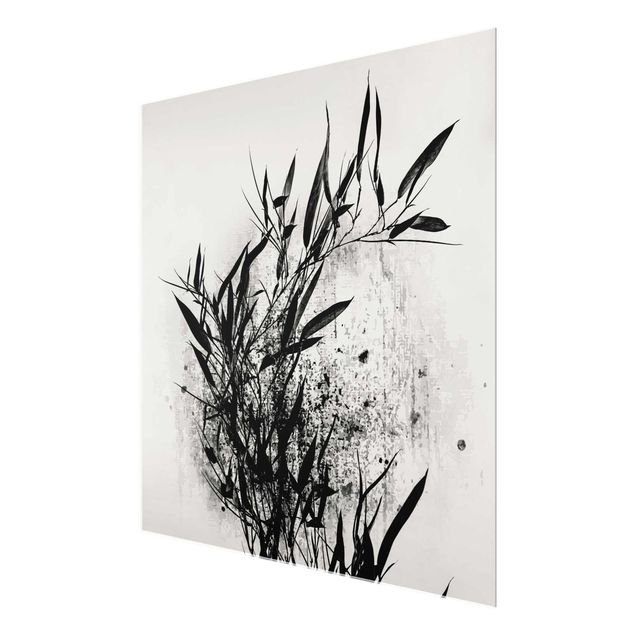 Glass prints black and white Graphical Plant World - Black Bamboo