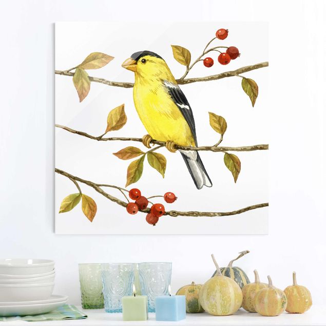 Kitchen Birds And Berries - American Goldfinch