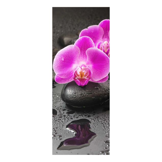 Art posters Pink Orchid Flower On Stones With Drops