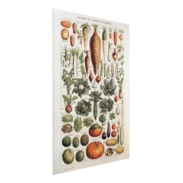 Prints vintage Vintage Board Vegetables