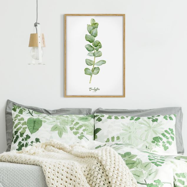 Floral canvas Watercolour Botany Eucalyptus