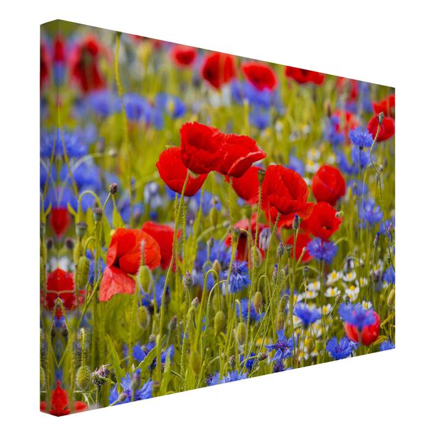 Art posters Summer Meadow With Poppies And Cornflowers