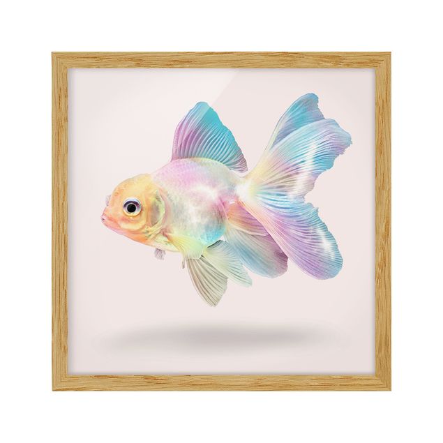 Animal canvas Fish In Pastel