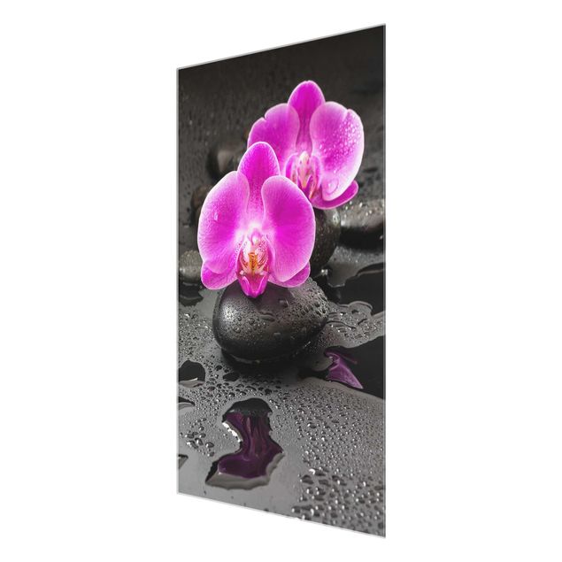 Floral canvas Pink Orchid Flower On Stones With Drops