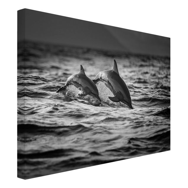 Canvas black and white Two Jumping Dolphins