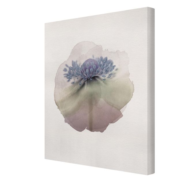 Canvas prints WaterColours - Anemone In Violet
