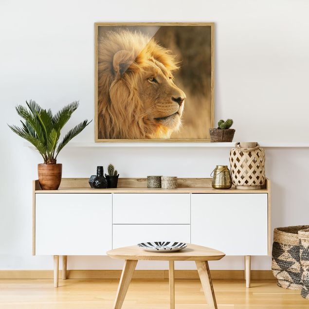 Lion print King Lion