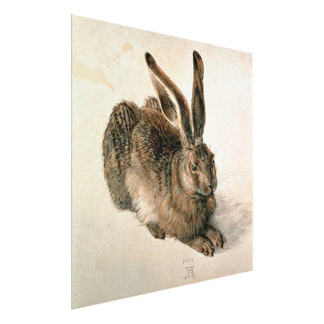 Glass prints pieces Albrecht Dürer - Young Hare