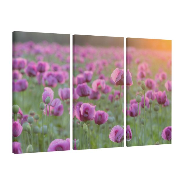 Prints floral Purple Poppy Flower Meadow In Spring