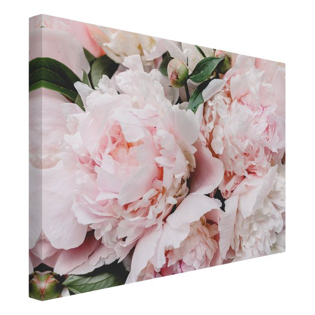 Floral picture Peonies Light Pink