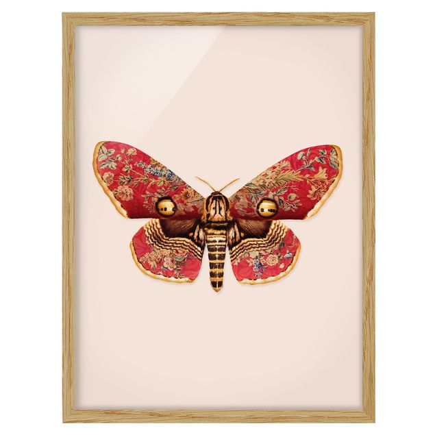 Animal wall art Vintage Moth