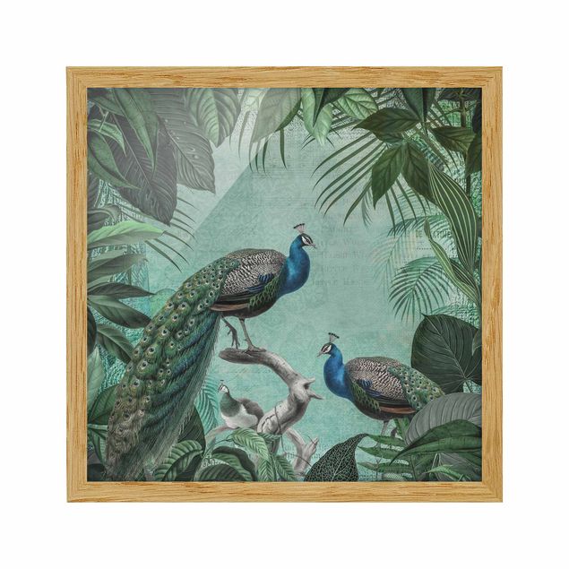 Prints animals Shabby Chic Collage - Noble Peacock