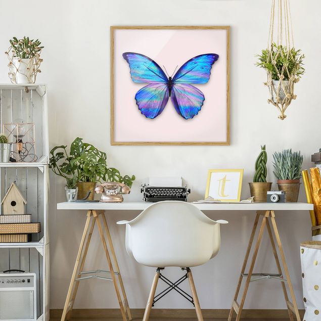 Butterfly framed art Holographic Butterfly
